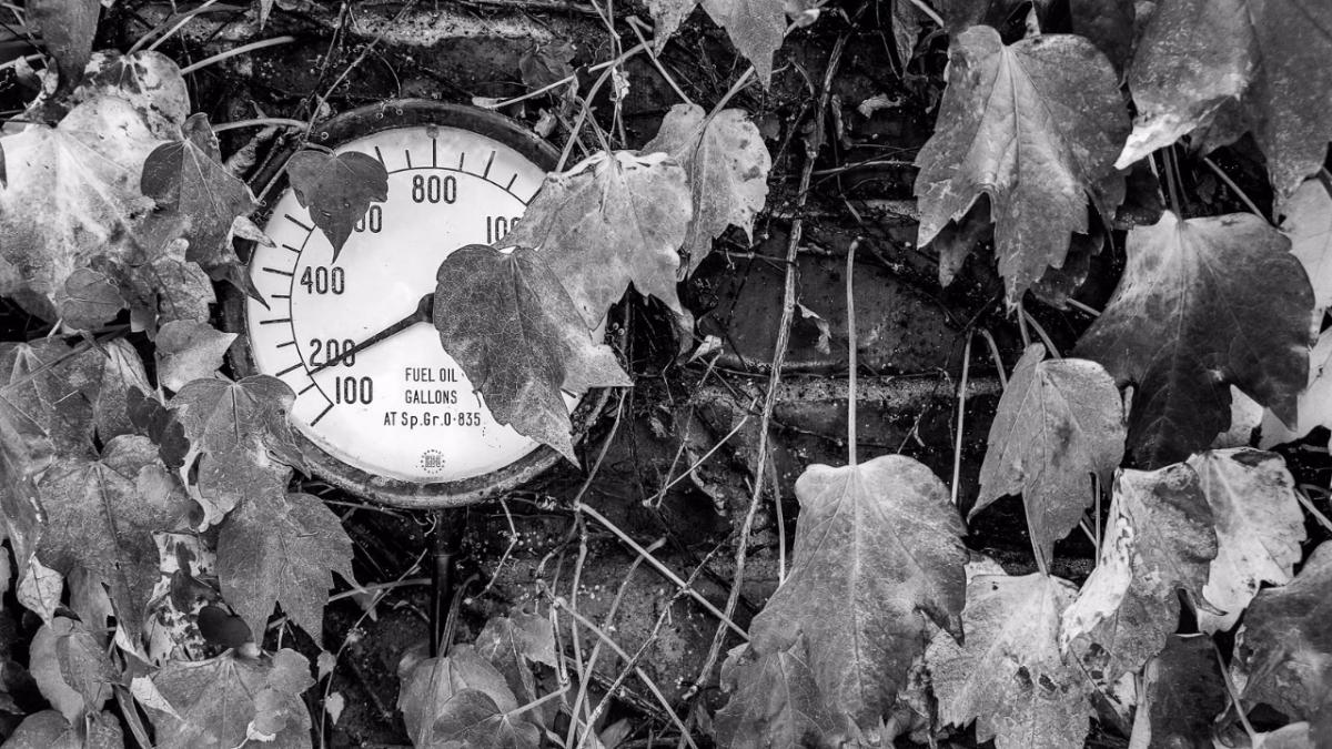 Gauge