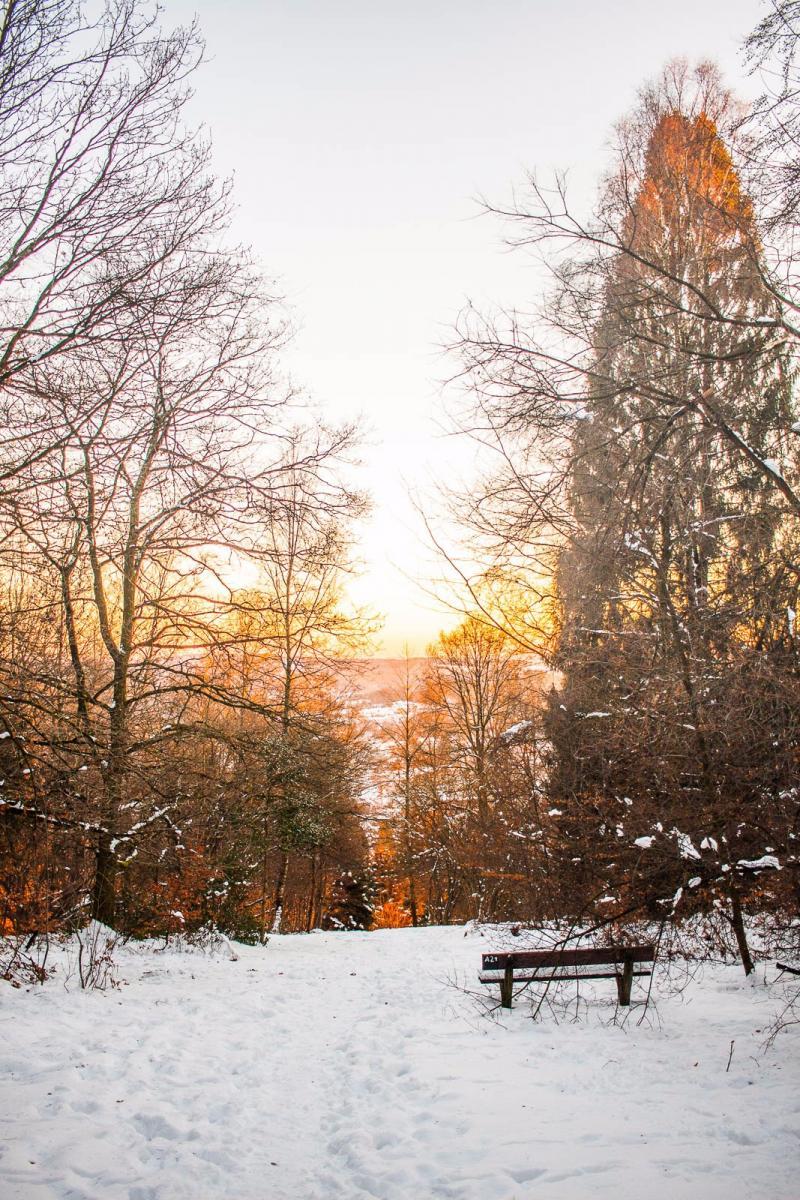 Bench